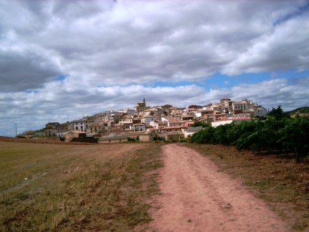 Photograph